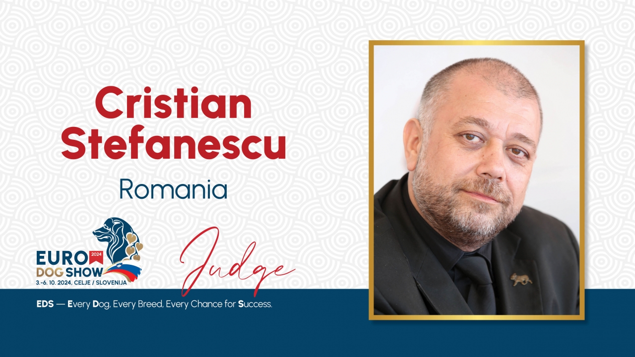EDS 2024 - Cristian Stefanescu